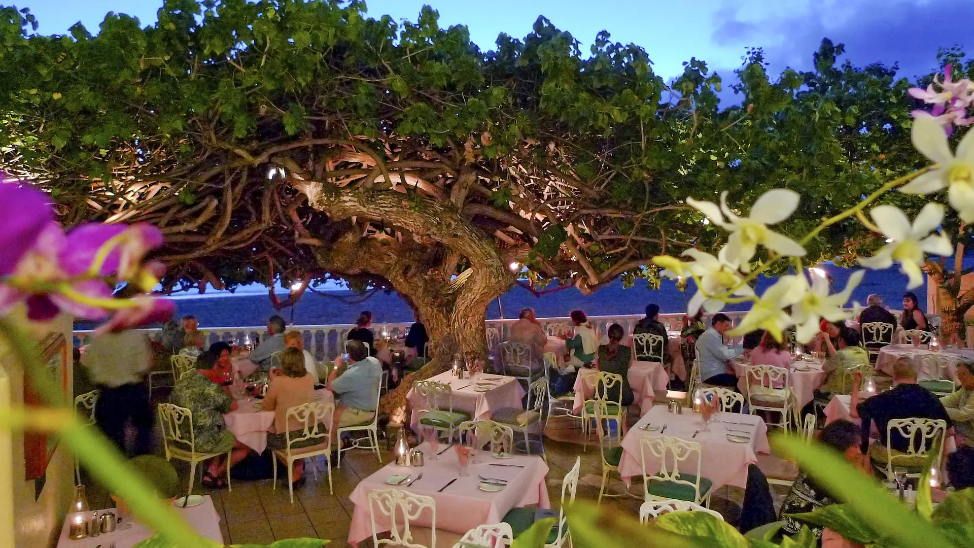 Kaimana Beach Hotel Honolulu